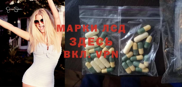 прущие грибы Аркадак