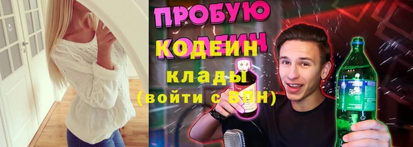 прущие грибы Аркадак