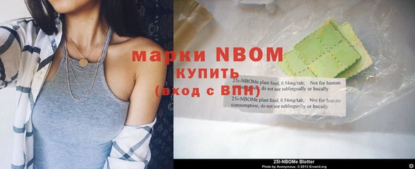 прущие грибы Аркадак