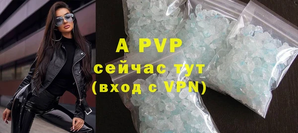 прущие грибы Аркадак