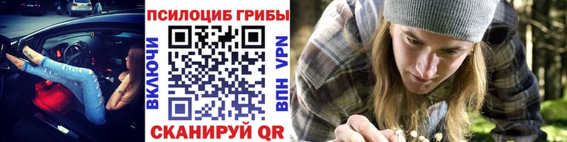 Псилоцибиновые грибы прущие грибы  Купить  Тутаев 